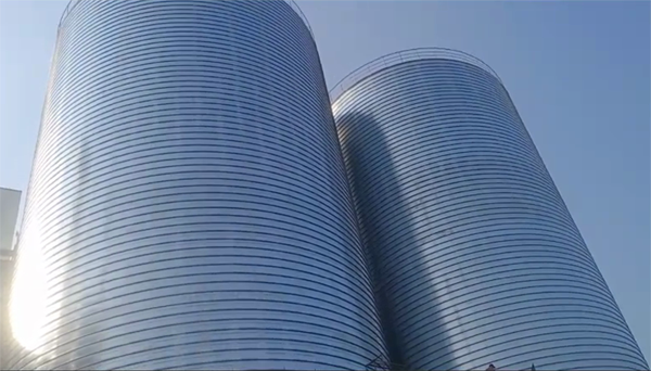 阿巴嘎2座混凝土高架卷板仓